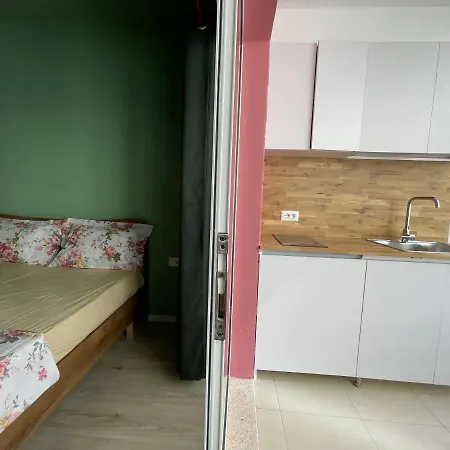 Mikpritja - Pogradec Apartment Tushemisht