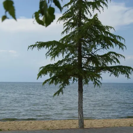 Apartment Mikpritja - Pogradec Tushemisht